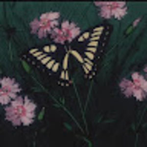 Meet your Posher, Diana